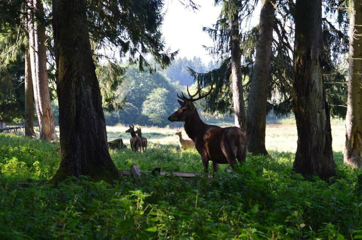 Отель Alte Post Uhlingen Экстерьер фото